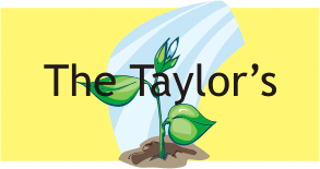TaylorHead